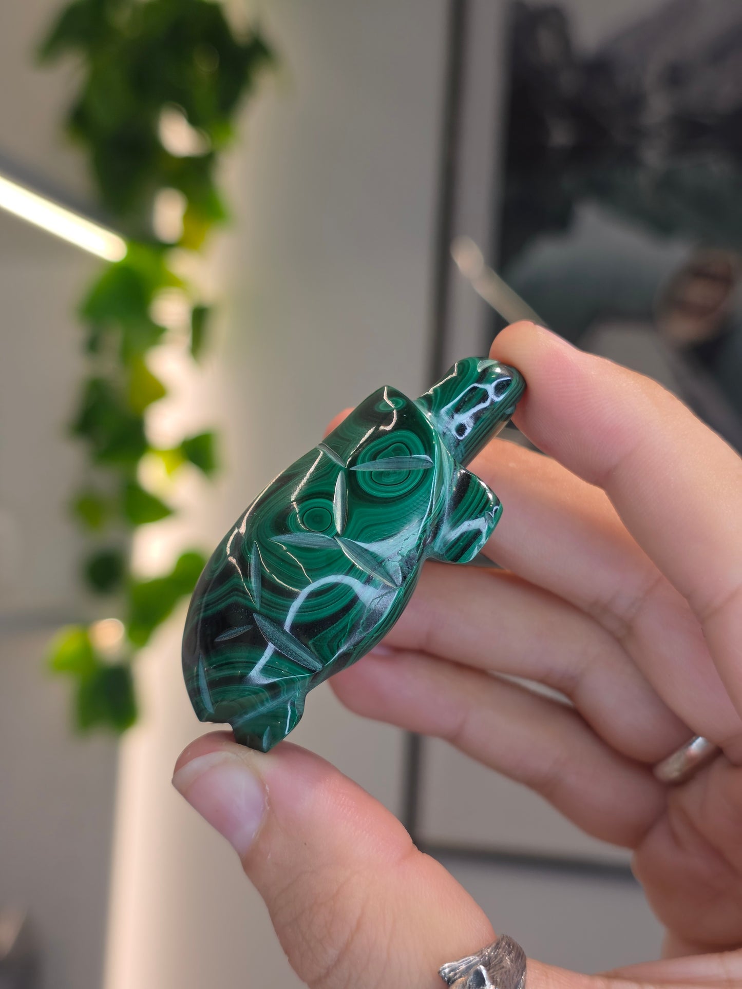 Malachite Turtle Carving - C
