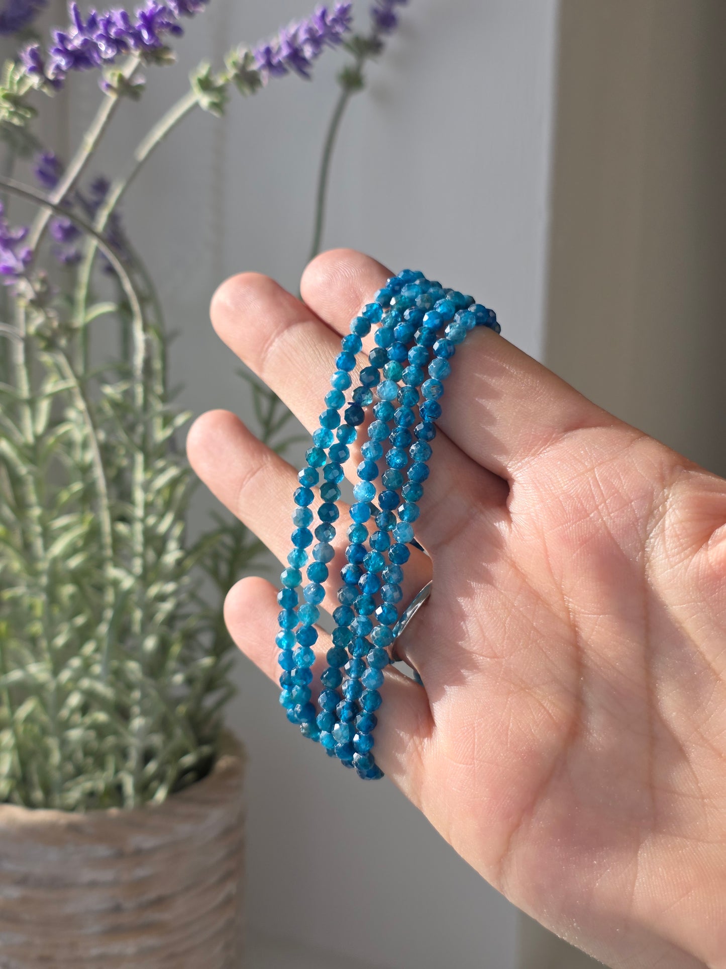 Apatite - Round Facetted Bracelet 4mm