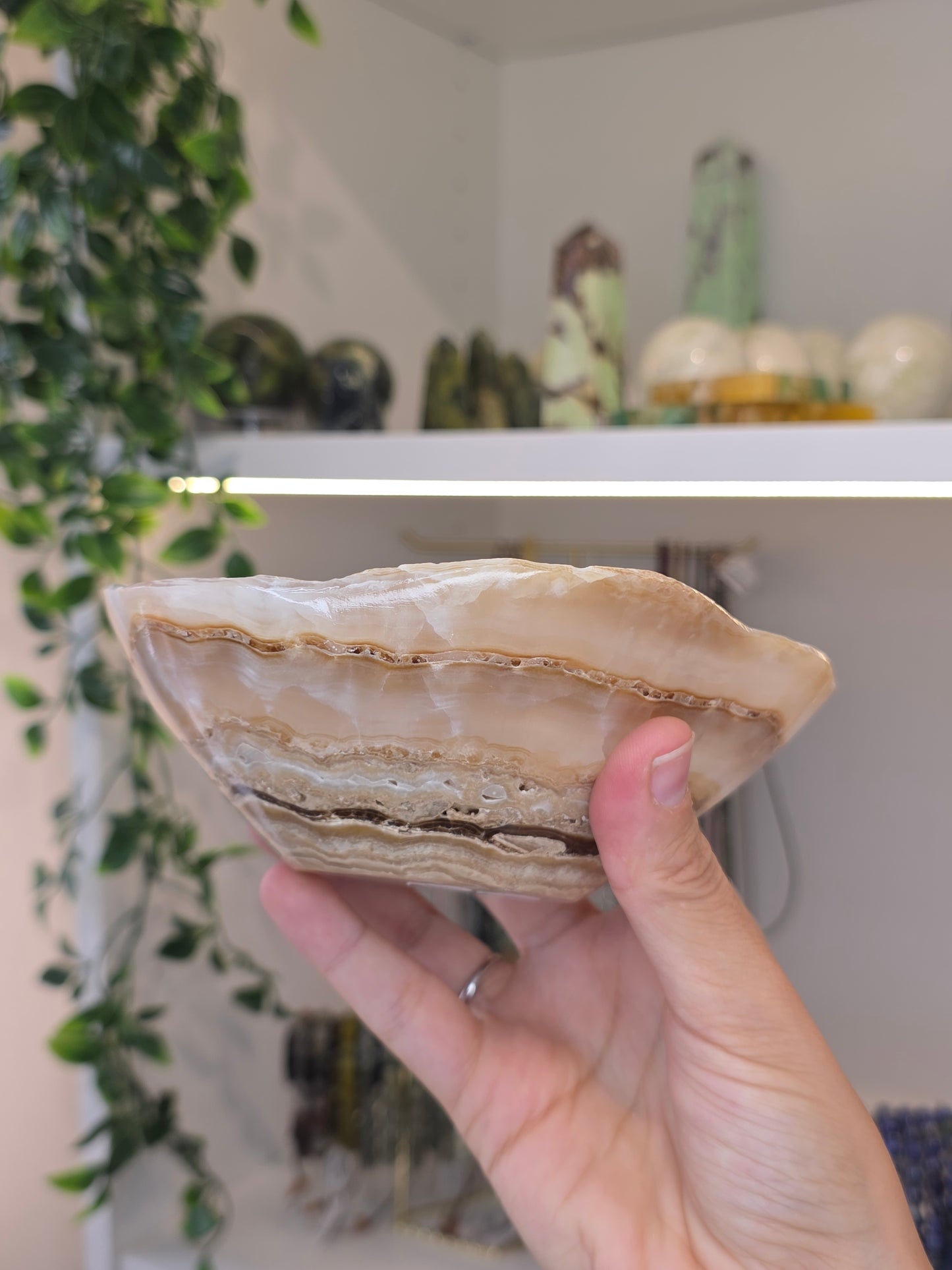 Mexican Onyx Freeform Bowl - Honey Calcite - B