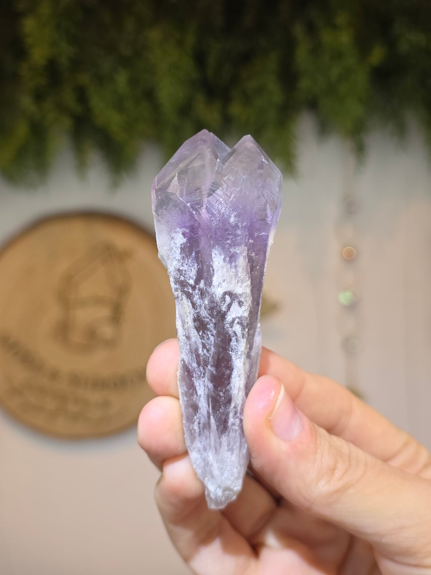 Brazilian Amethyst Root Point