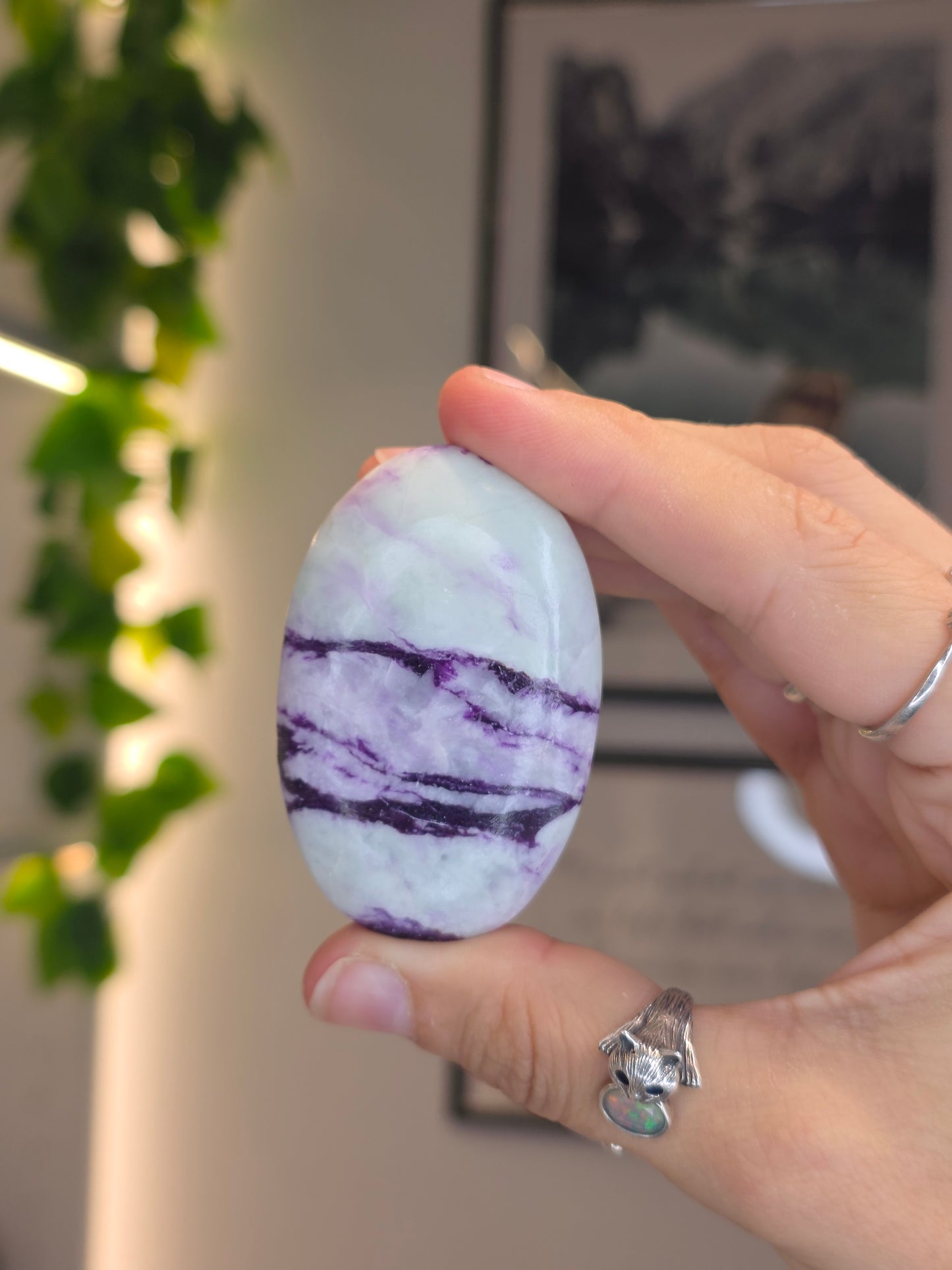 Purple Green Kammererite Palm Stones
