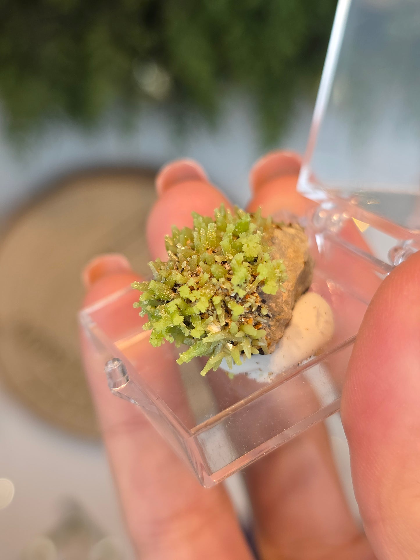 Pyromorphite Specimen from Guang Xi, China - MAS6094