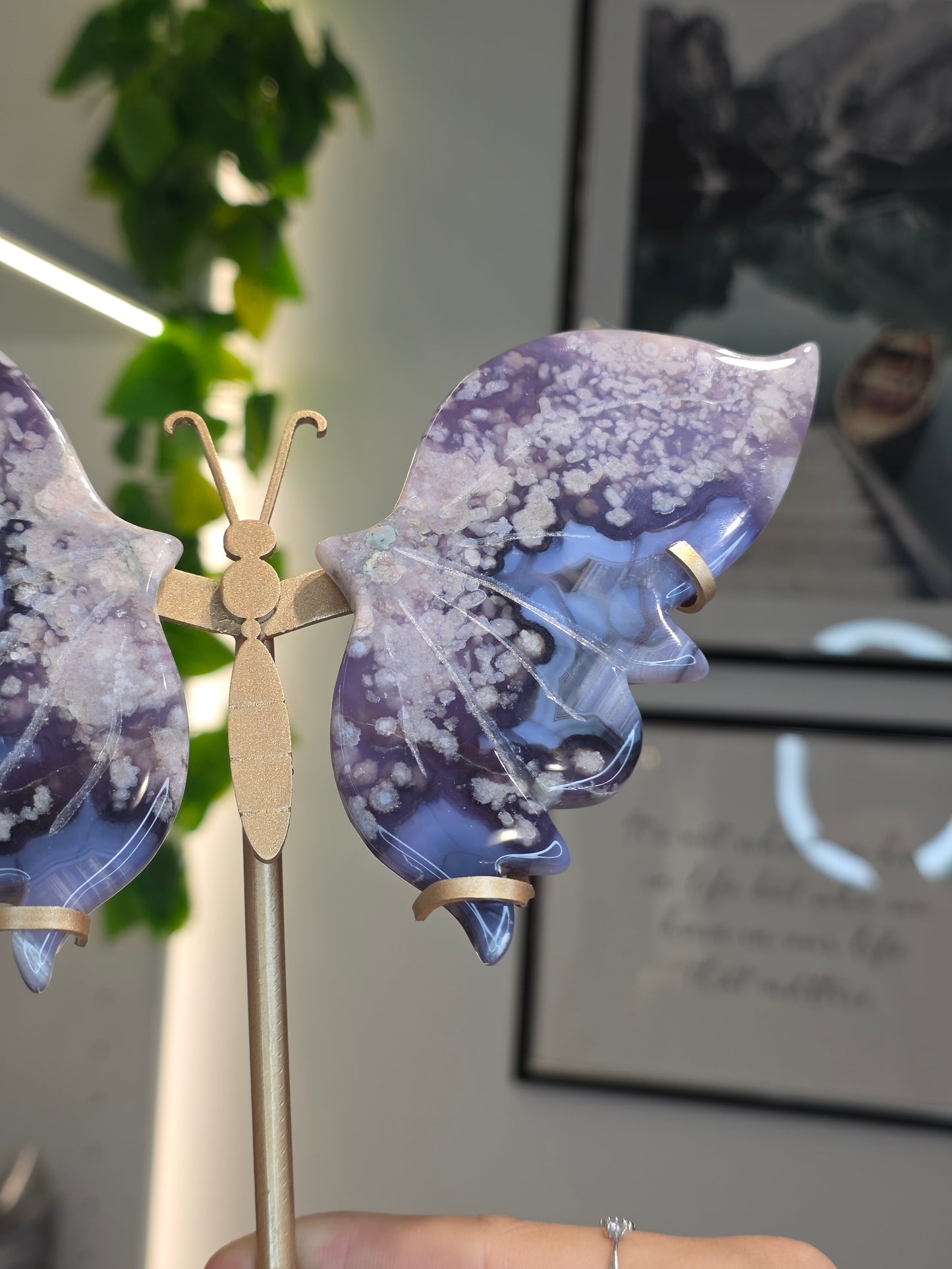 Blue Flower Agate Butterfly Wings on Custom Stand - B