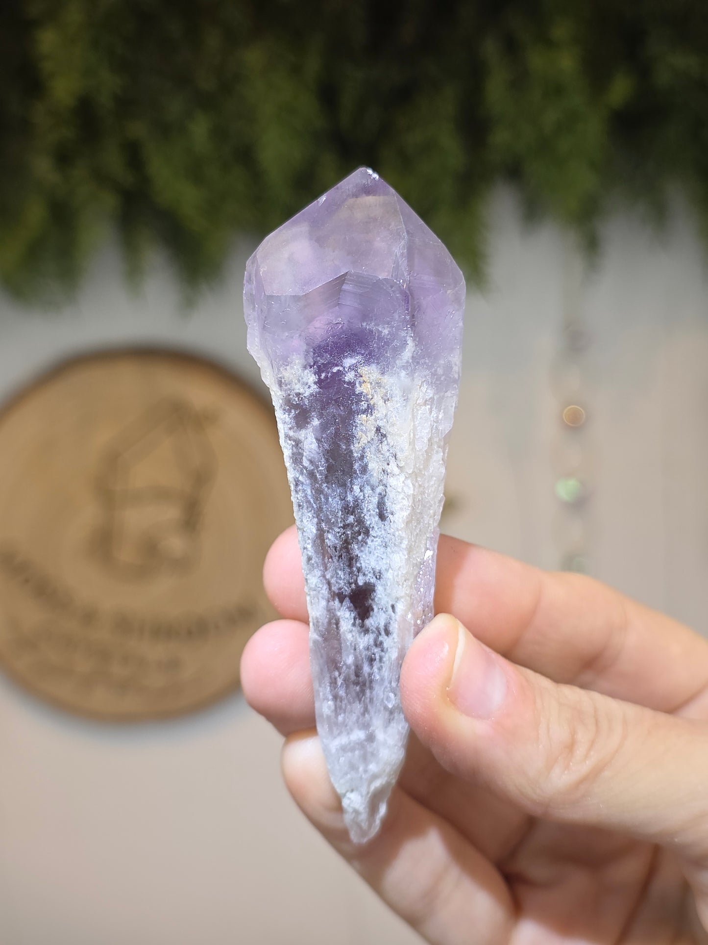Brazilian Amethyst Root Point