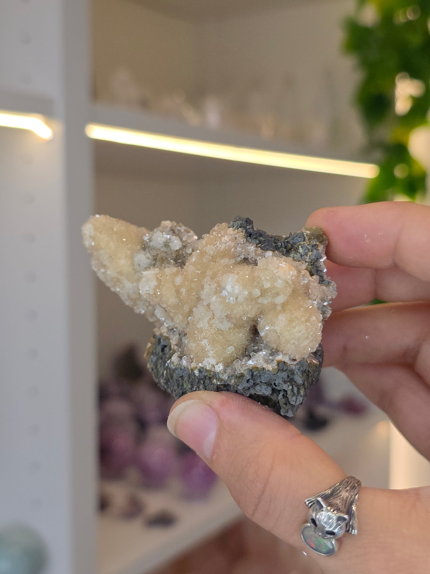 Sugary Dogtooth Calcite with Heulandite and Stilbite from Madhya Pradesh, India - X