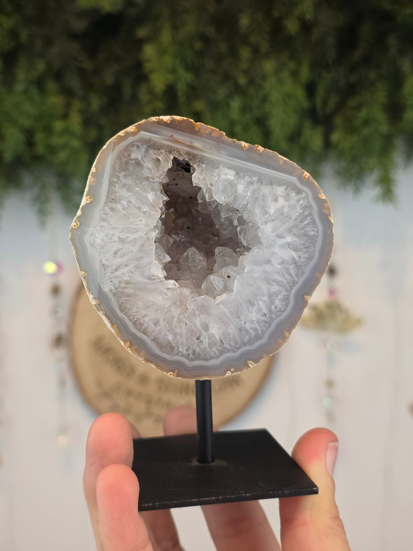Brazilian Druzy Agate Geode in Stand