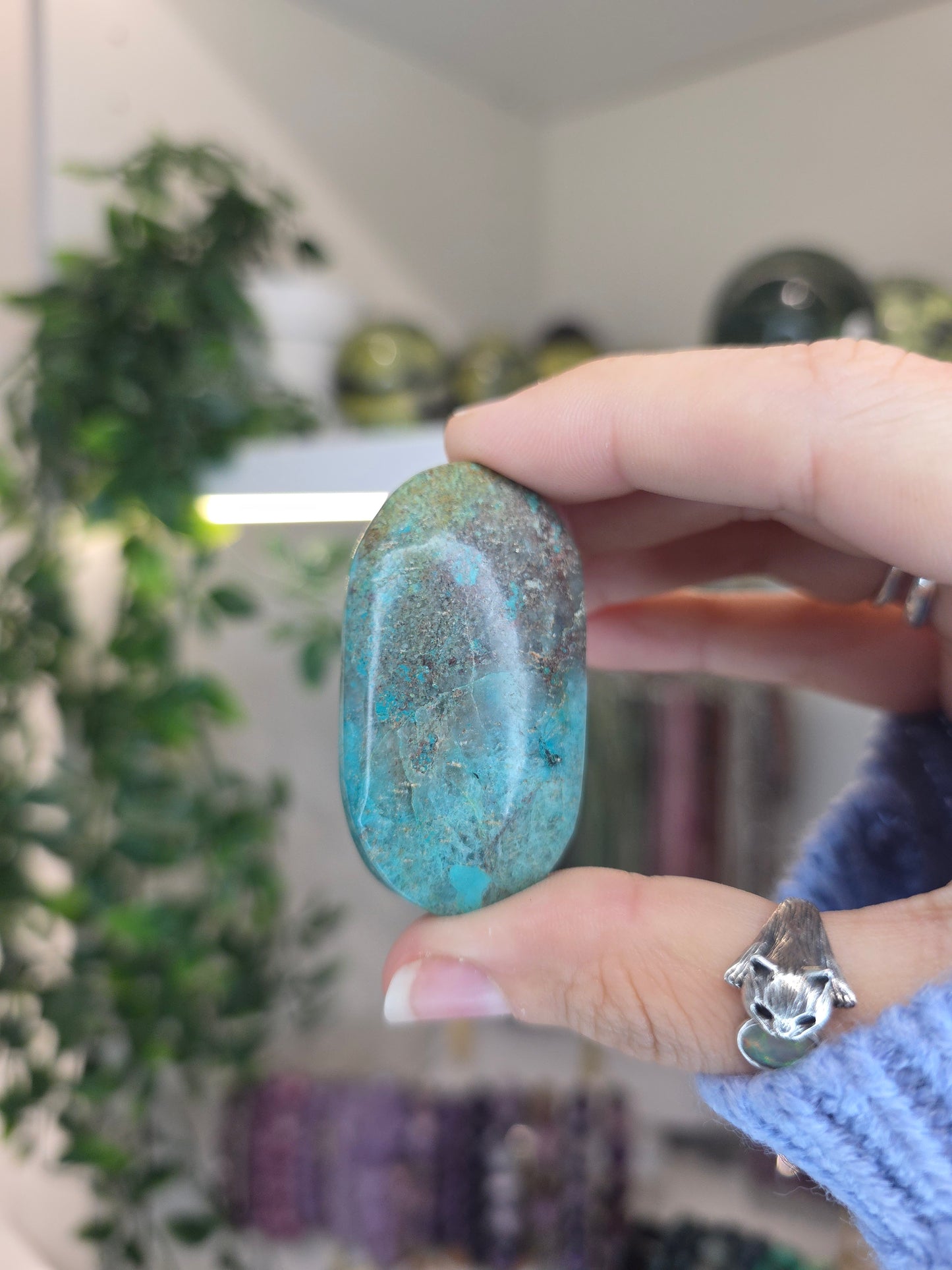 Shattuckite Palms