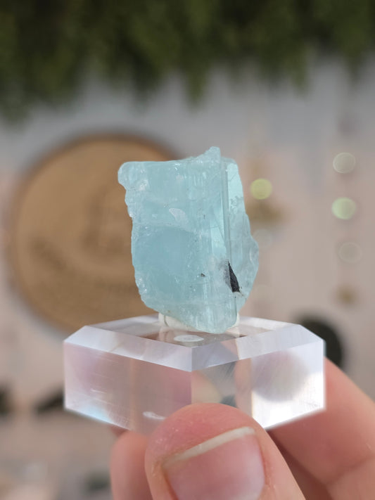 Aquamarine with Black Tourmaline from Pakistan