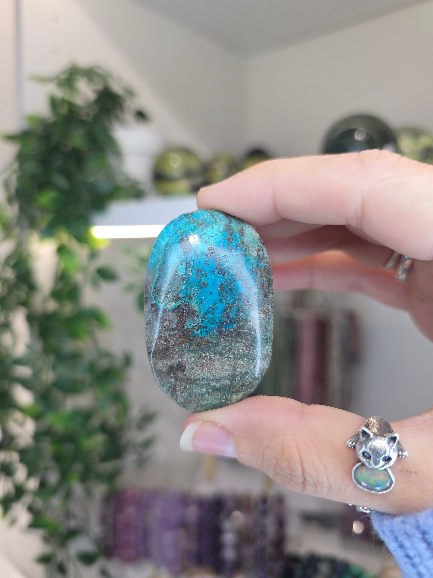 Shattuckite Palms