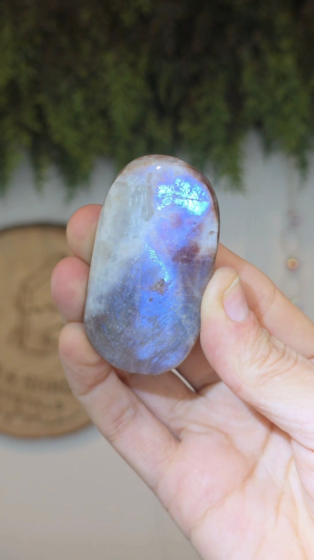 Moonstone with Sunstone Palms