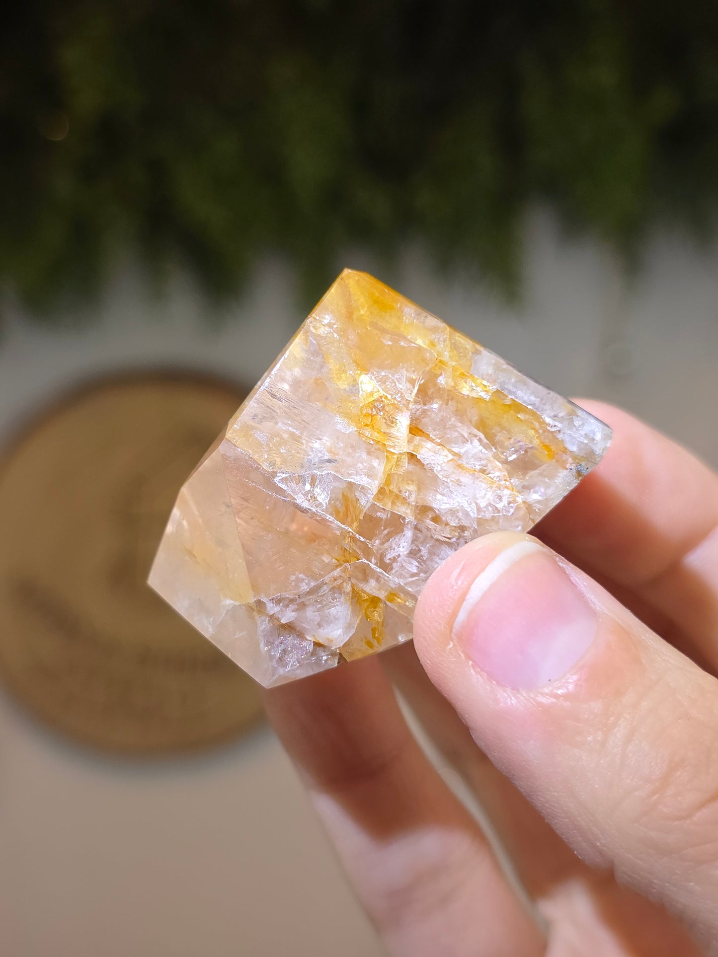 Rose Quartz with Golden Healer Freeform F