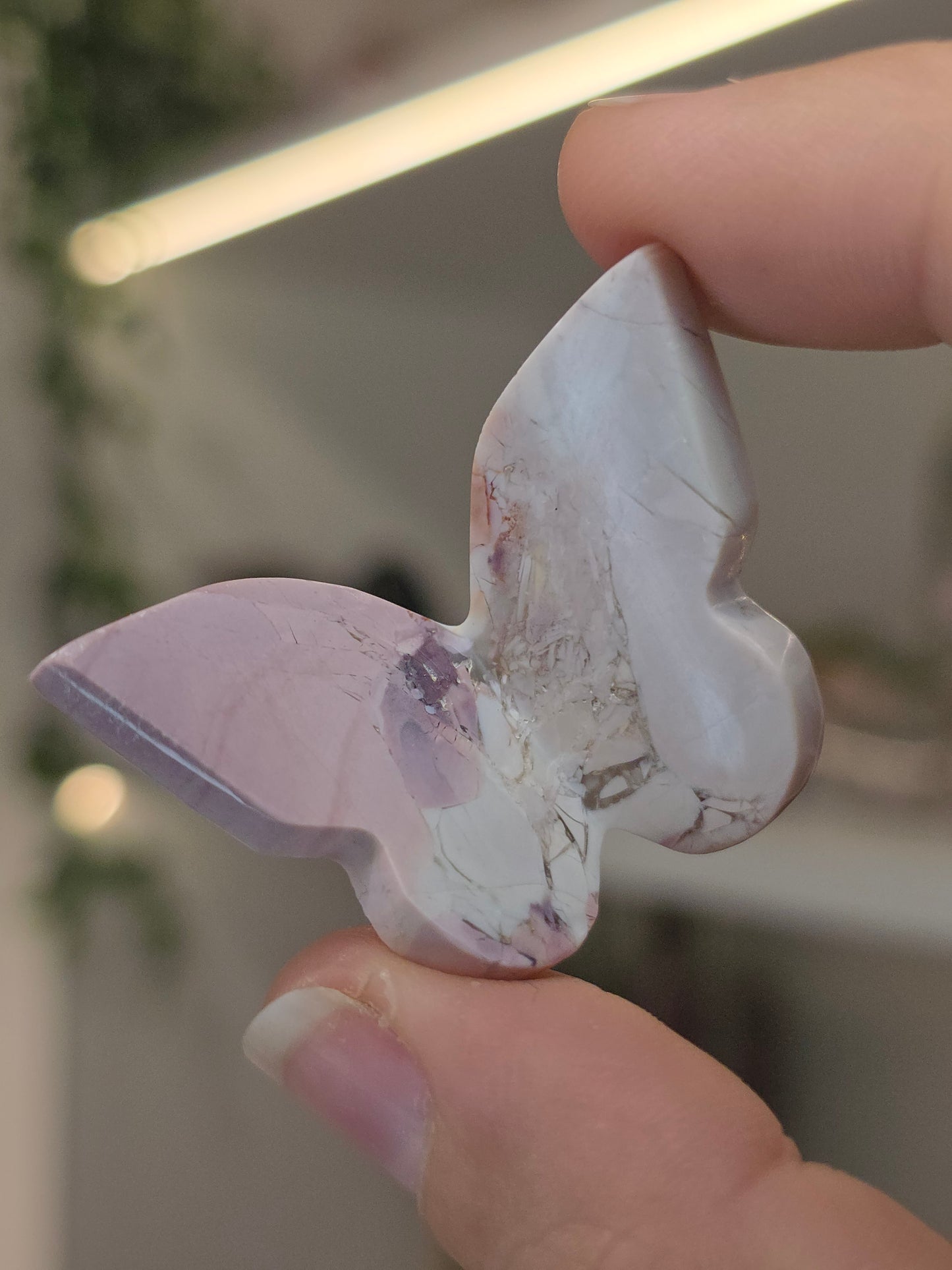 Hyacinth Jasper Butterflies