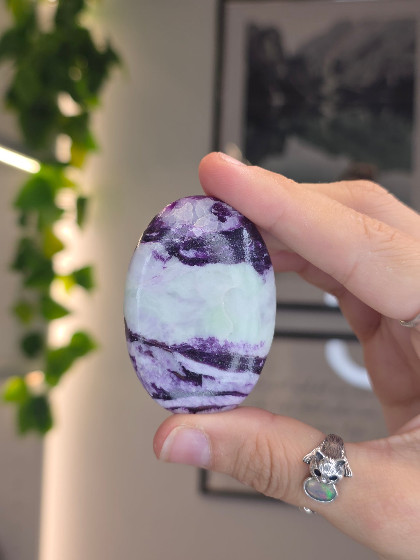 Purple Green Kammererite Palm Stones