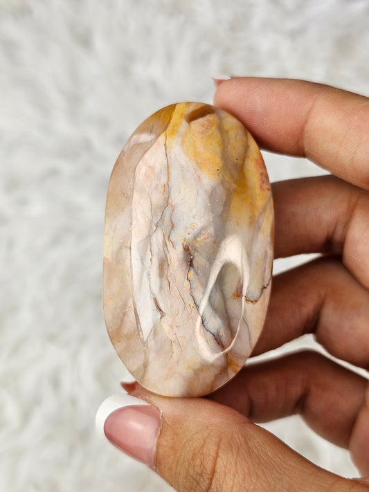 Petrified Wood Palm Stone - MAS0778