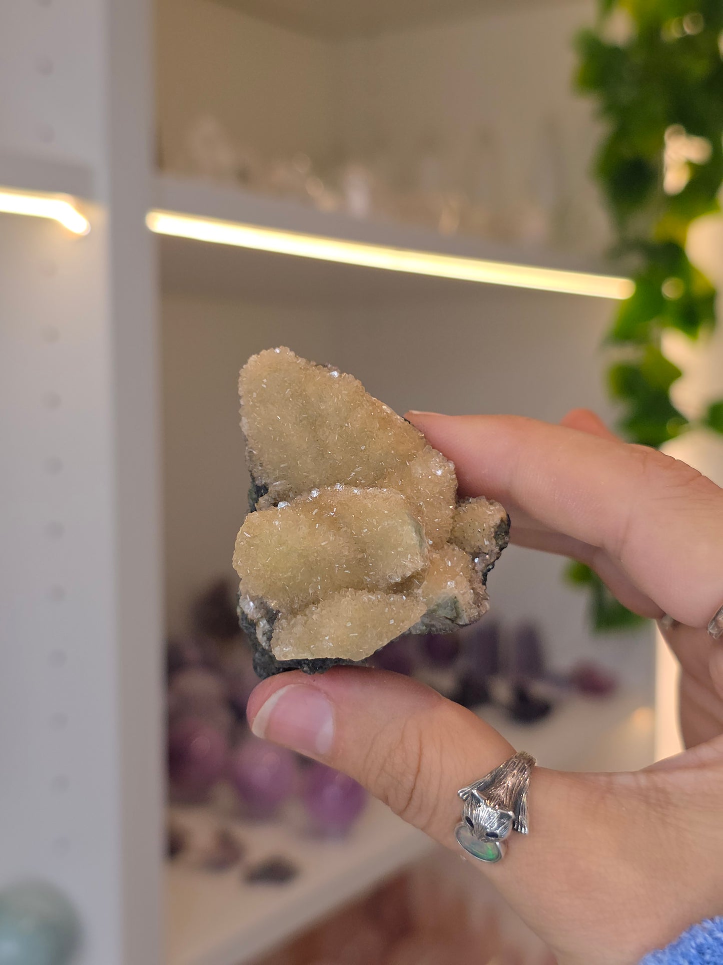 Sugary Dogtooth Calcite with Heulandite and Stilbite from Madhya Pradesh, India - Y