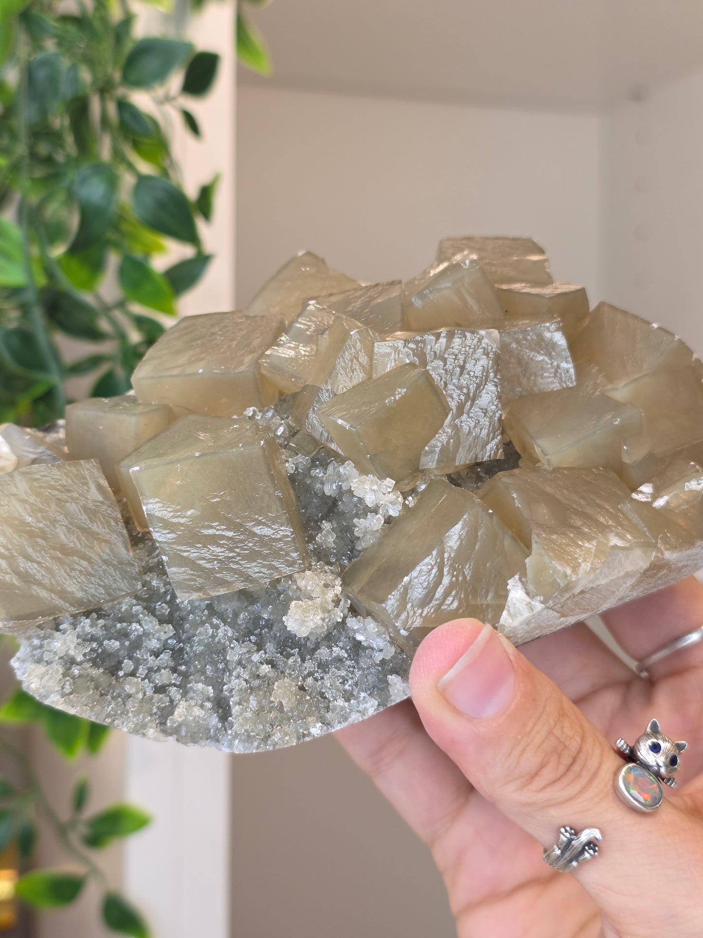 Honey Calcite Cubes on Druzy Sugar Calcite and Stilbite Matrix from Madhya Pradesh, India - AM