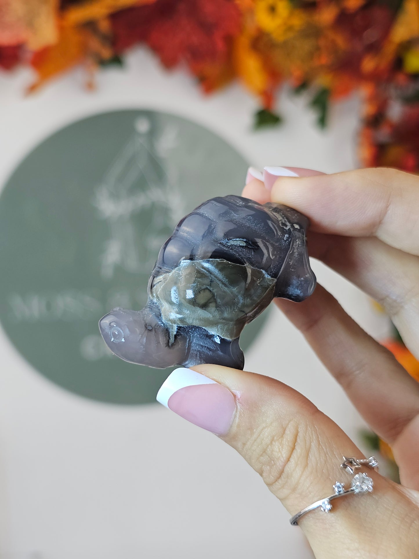 Volcano Agate Turtle - MAS1289