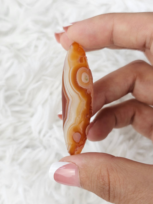 Gobi Agate Shiva - MAS0751
