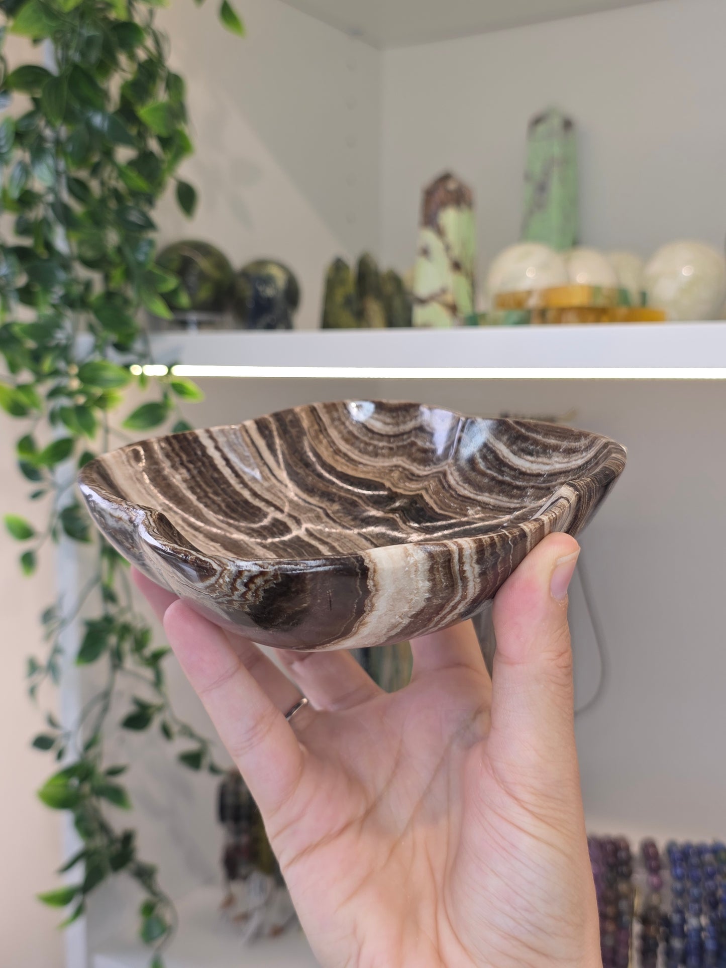 Mexican Onyx Freeform Bowl - Chocolate Calcite - B