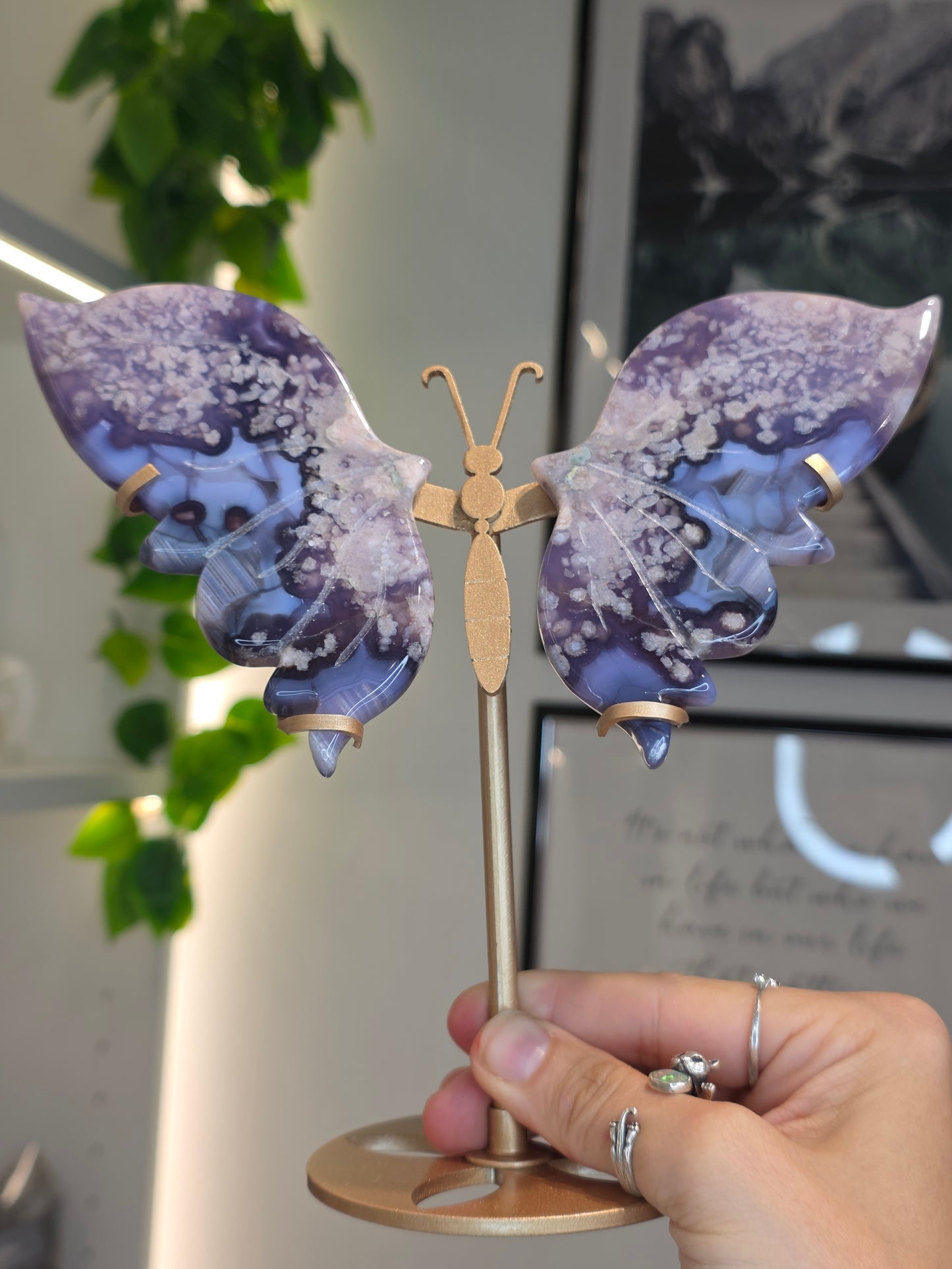 Blue Flower Agate Butterfly Wings on Custom Stand - B