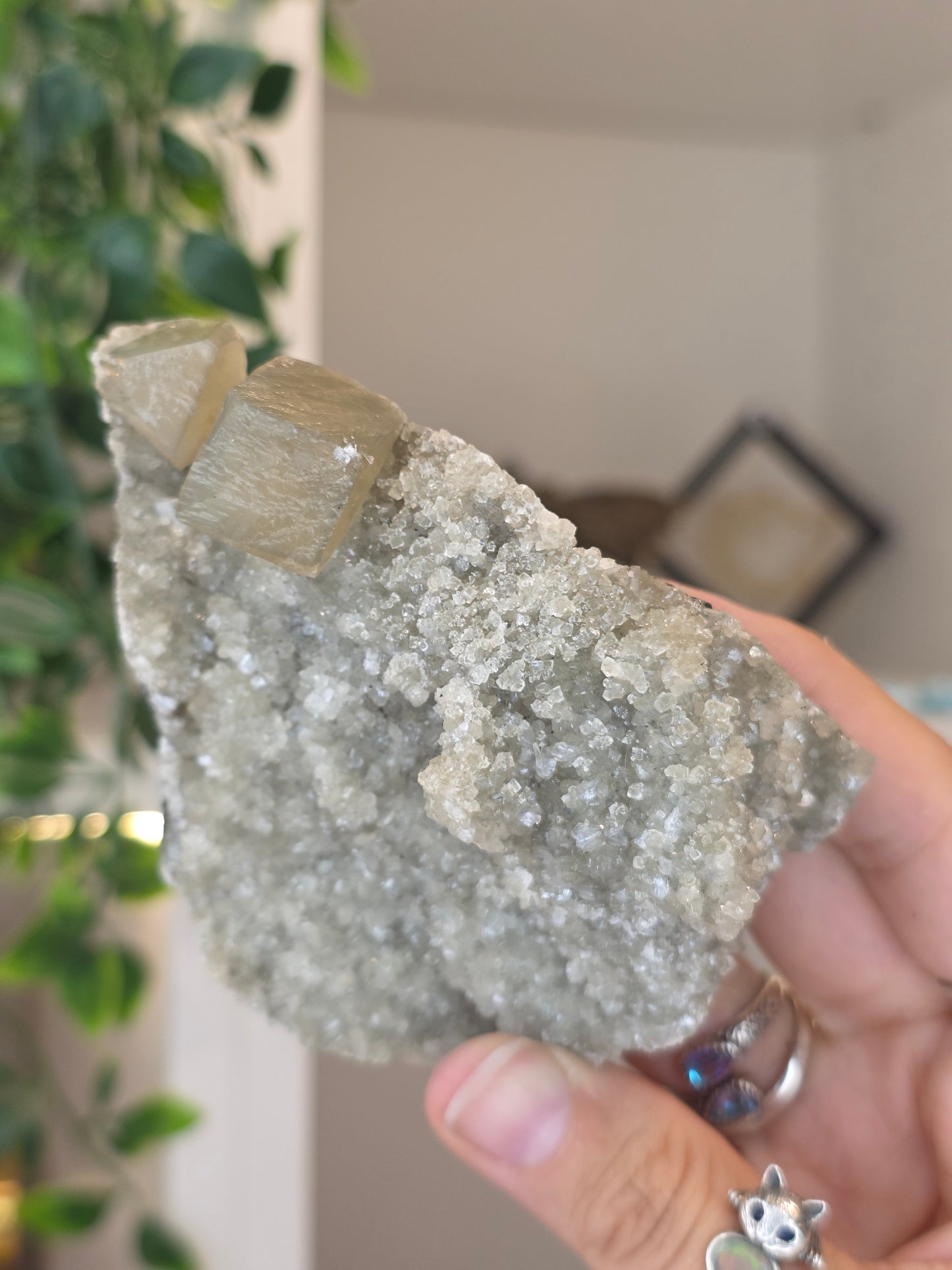 Honey Calcite Cubes on Druzy Sugar Calcite and Stilbite Matrix from Madhya Pradesh, India - T
