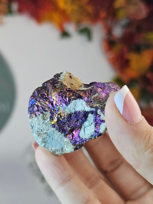 Intuitively chosen Colourful Pyrite on Limestone Matrix - MAS2805