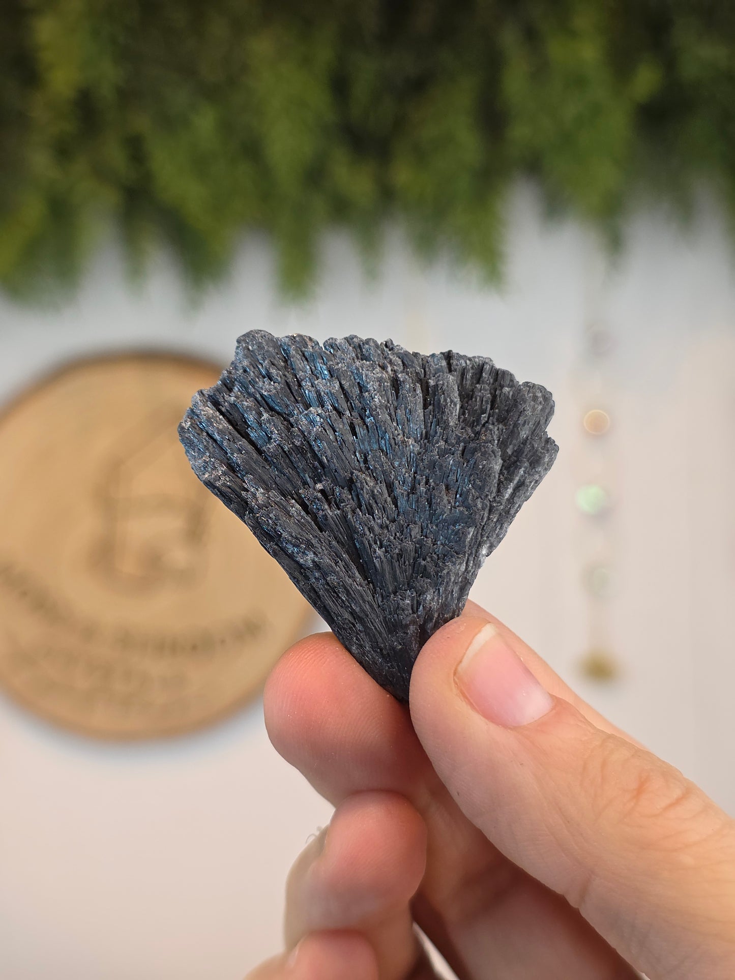 Brazilian Black Kyanite