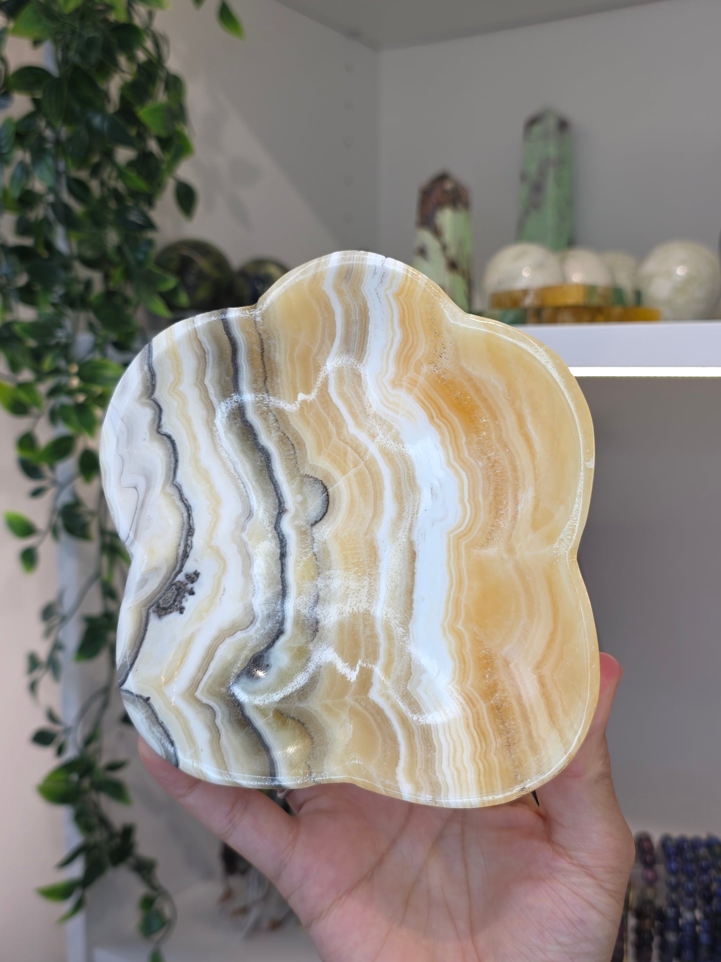 Mexican Onyx Bowl - Yellow Zebra Calcite - D
