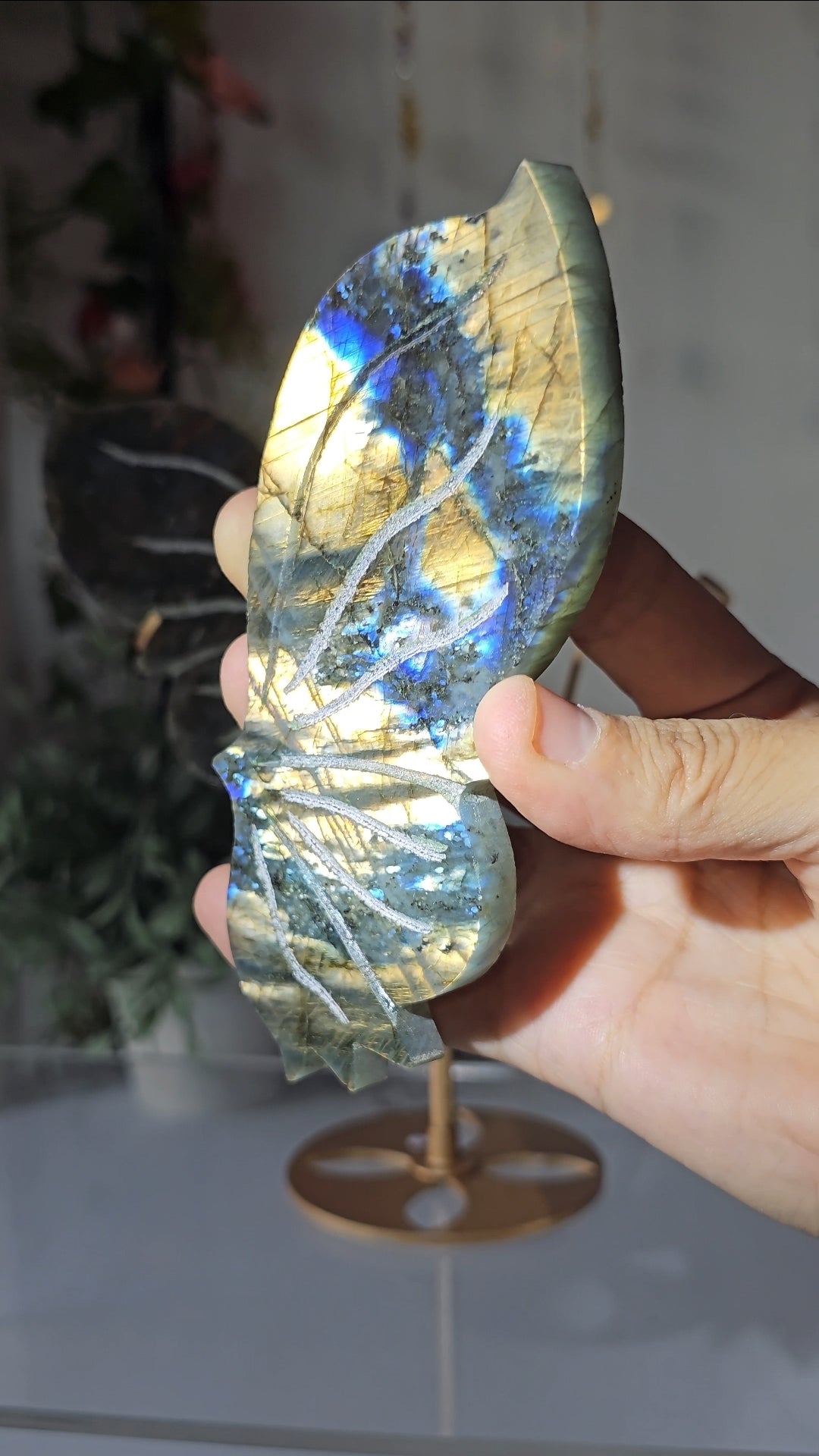 Labradorite Butterfly Wings on Custom Stand - MAS0826