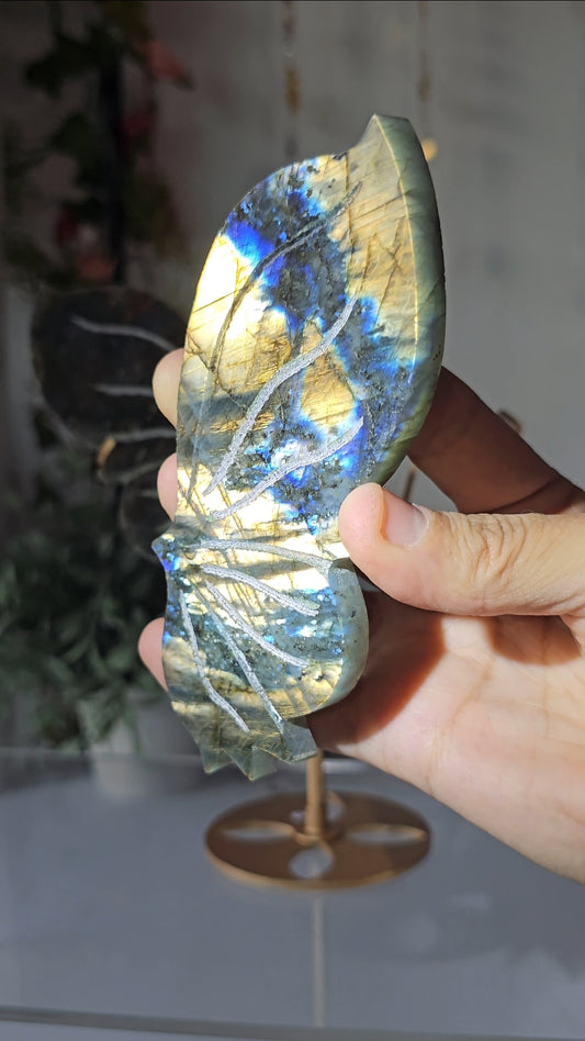 Labradorite Butterfly Wings on Custom Stand - MAS0826