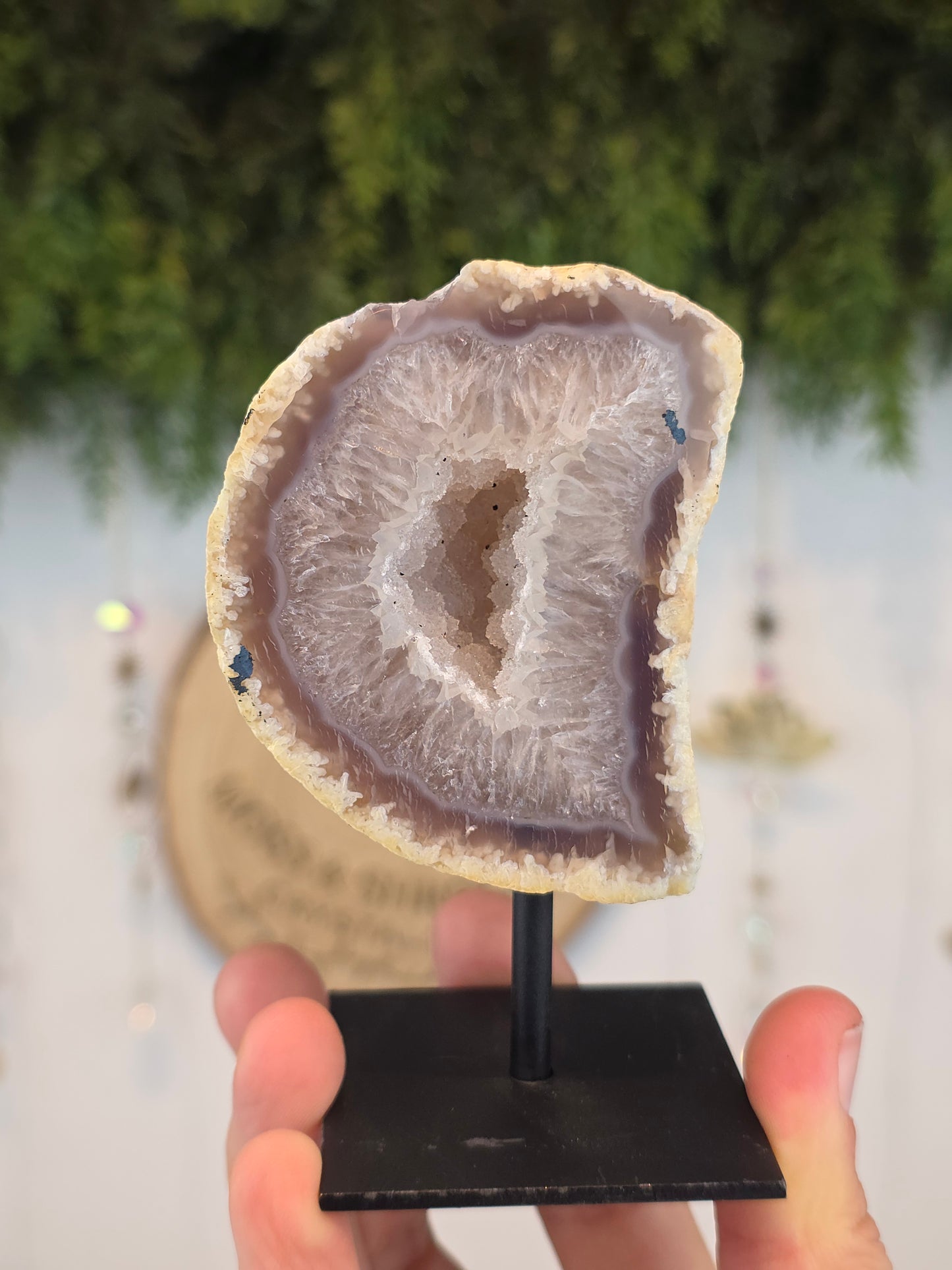 Brazilian Druzy Agate Geode in Stand