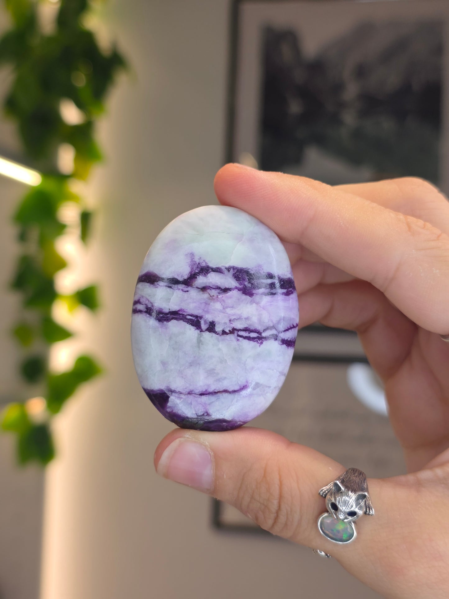 Purple Green Kammererite Palm Stones