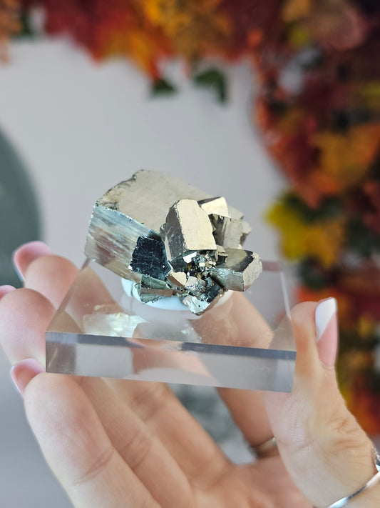 Cubic Pyrite B from the Shang Bao Mine, China - MAS1465