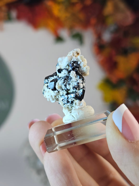 Black Tourmaline C from Namibia - MAS1681