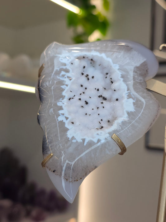 Druzy Agate Butterfly Wings on Stand