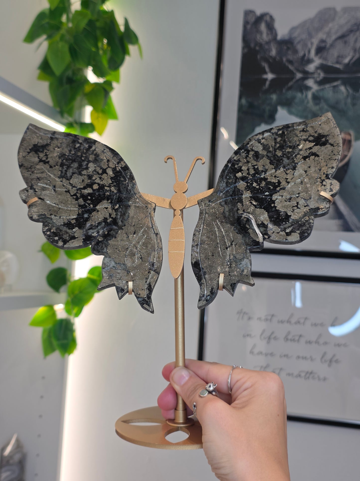 Pyrite Butterfly Wings on Custom Stand - C