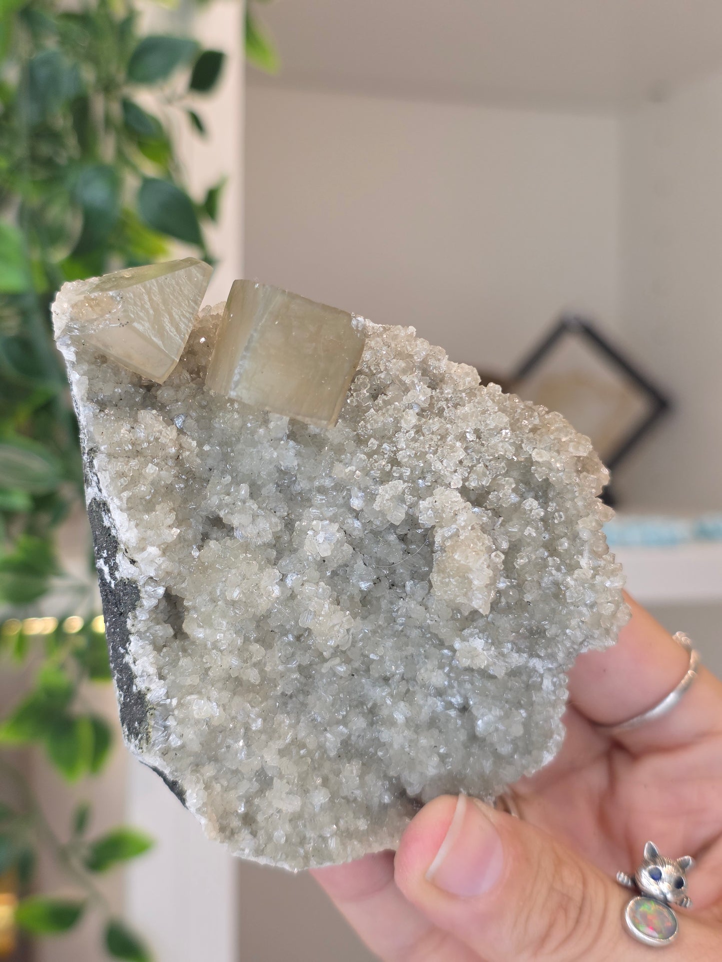 Honey Calcite Cubes on Druzy Sugar Calcite and Stilbite Matrix from Madhya Pradesh, India - T