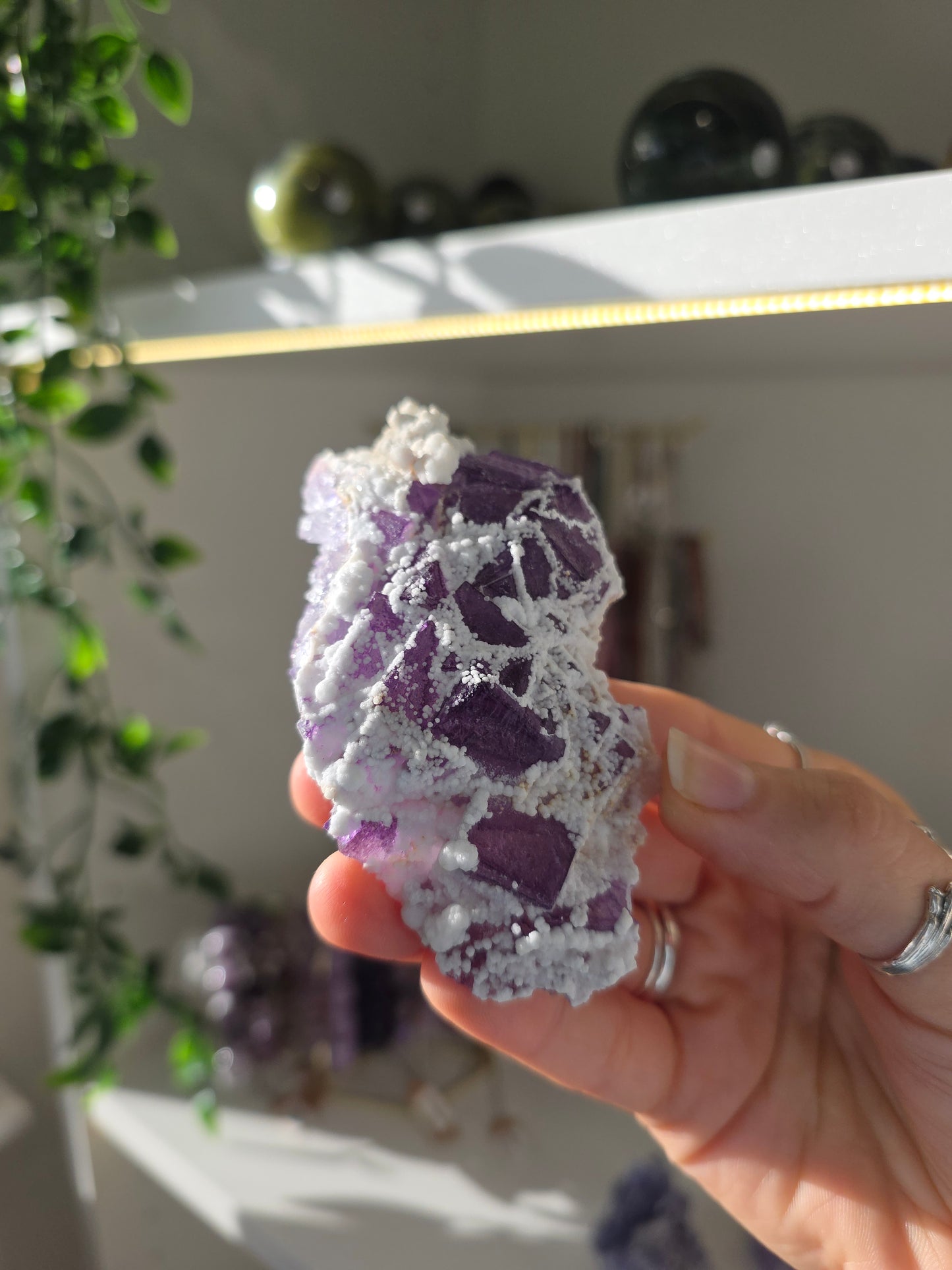Purple Fluorite with Botryoidal Calcite from Weishan, Yunnan Province, China B