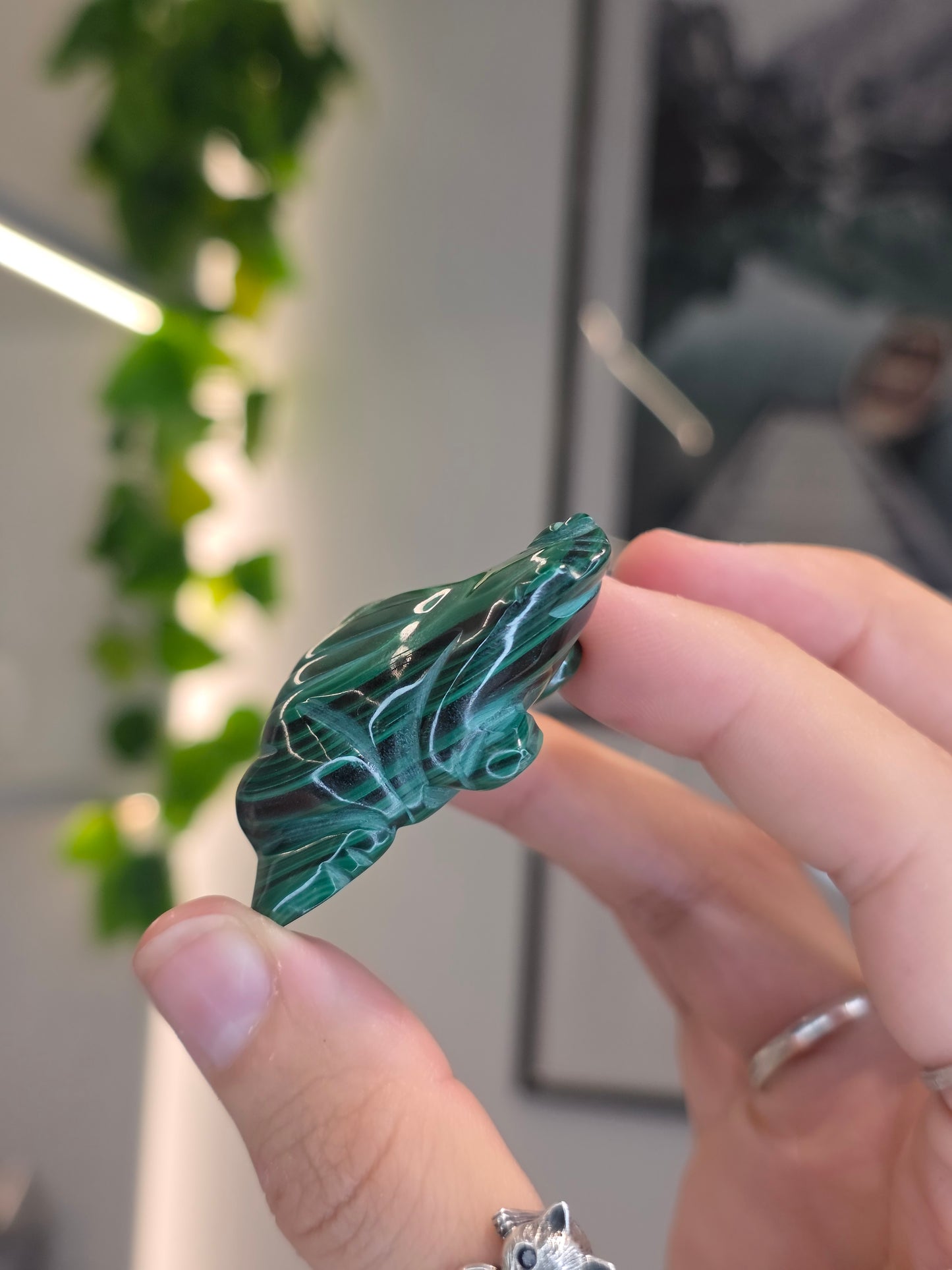 Malachite Frog Carving - E