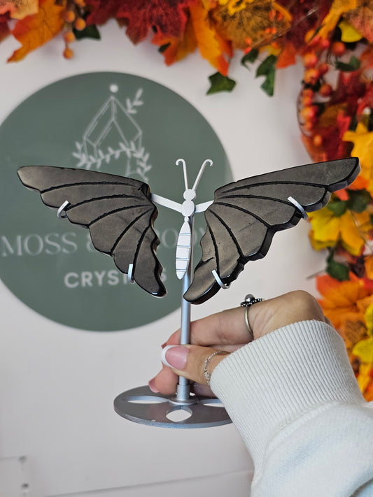 Gold Sheen Obsidian Wings - MAS2515