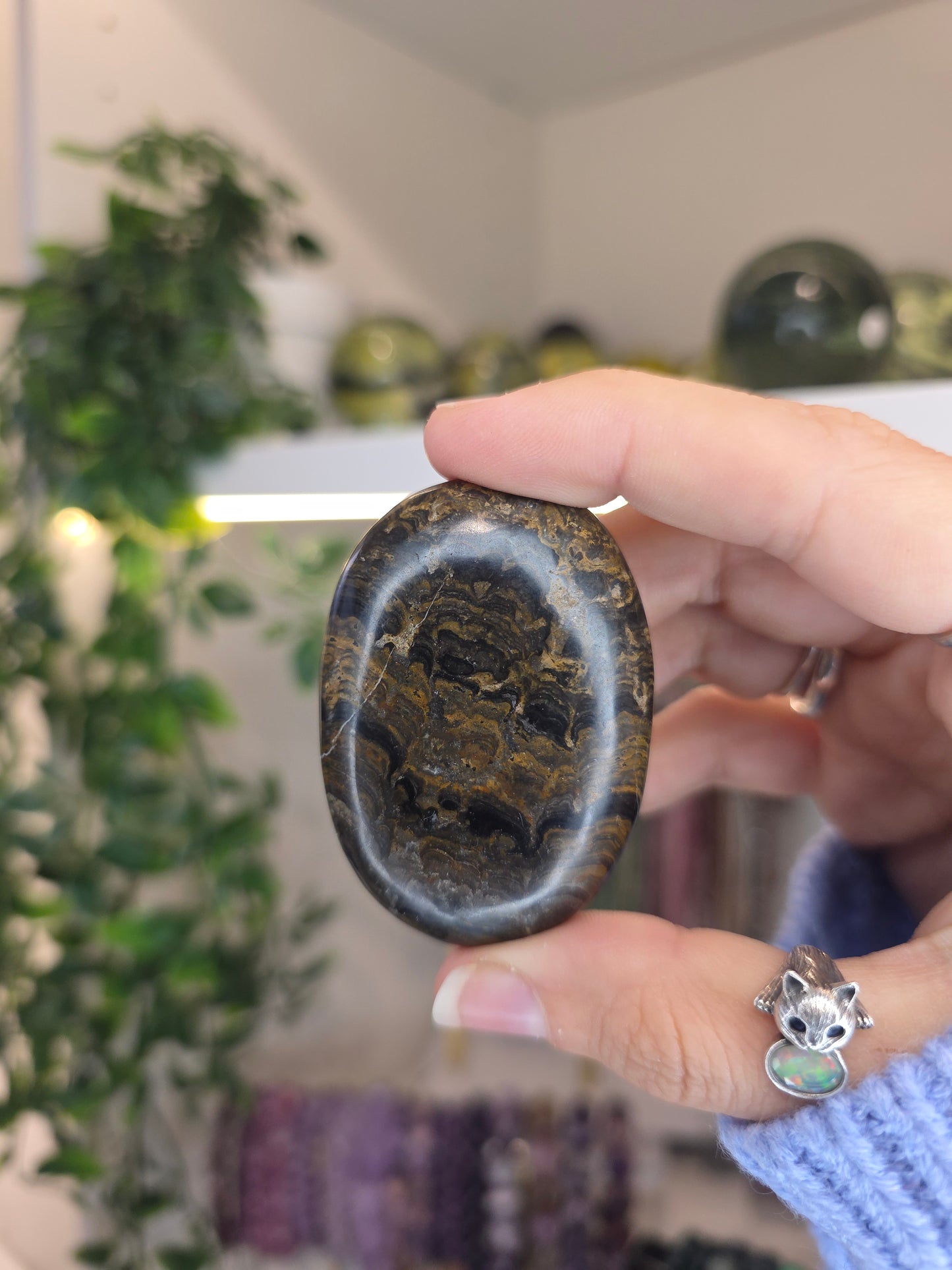Peruvian Stromatolite Palms