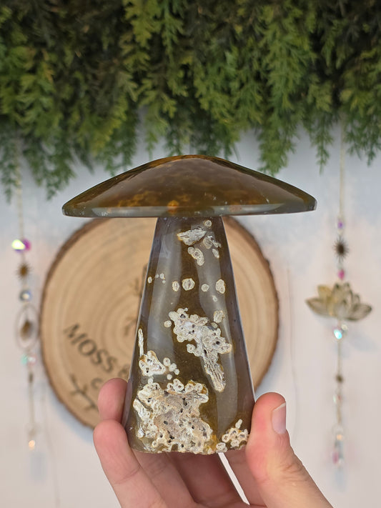 Brazilian Agate Mushroom A