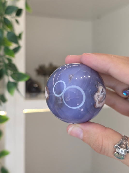 Blue Flower Agate Sphere - F