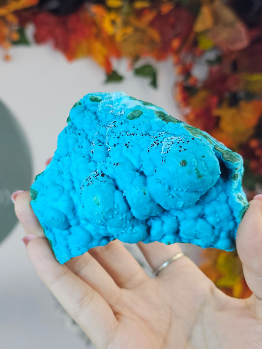 Botryoidal Chrysocolla with Malachite from the Congo - MAS2376