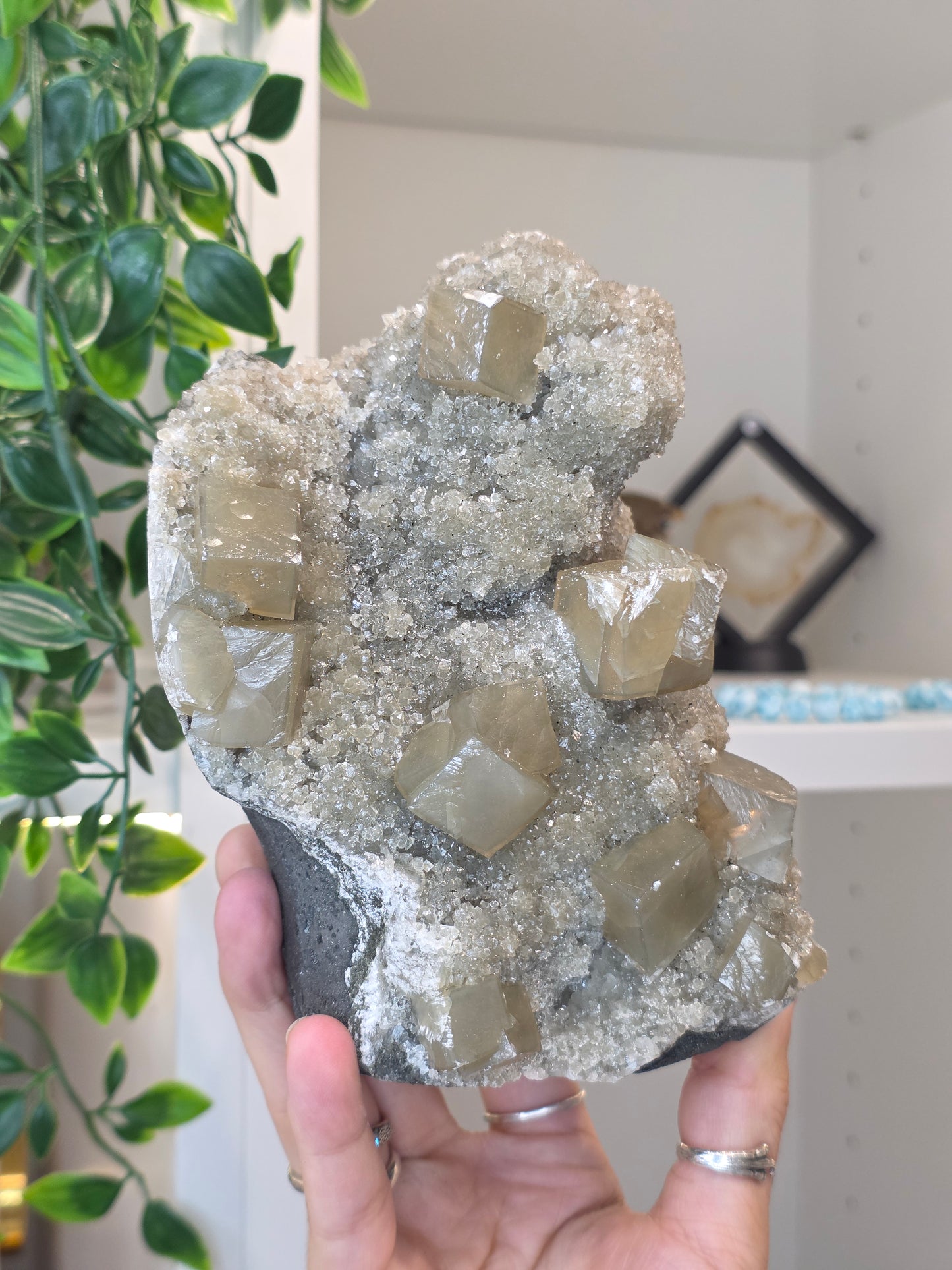 Honey Calcite Cubes on Druzy Sugar Calcite and Stilbite Matrix from Madhya Pradesh, India - AL