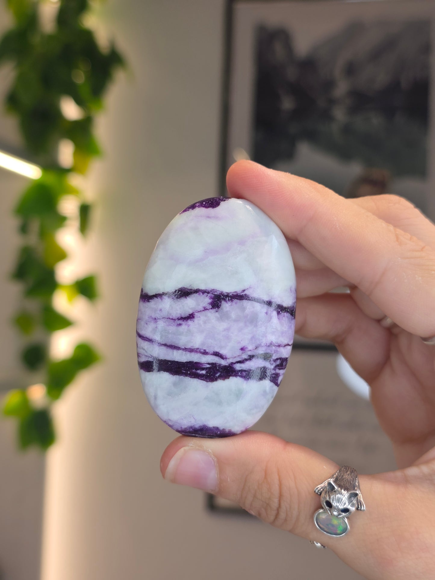 Purple Green Kammererite Palm Stones