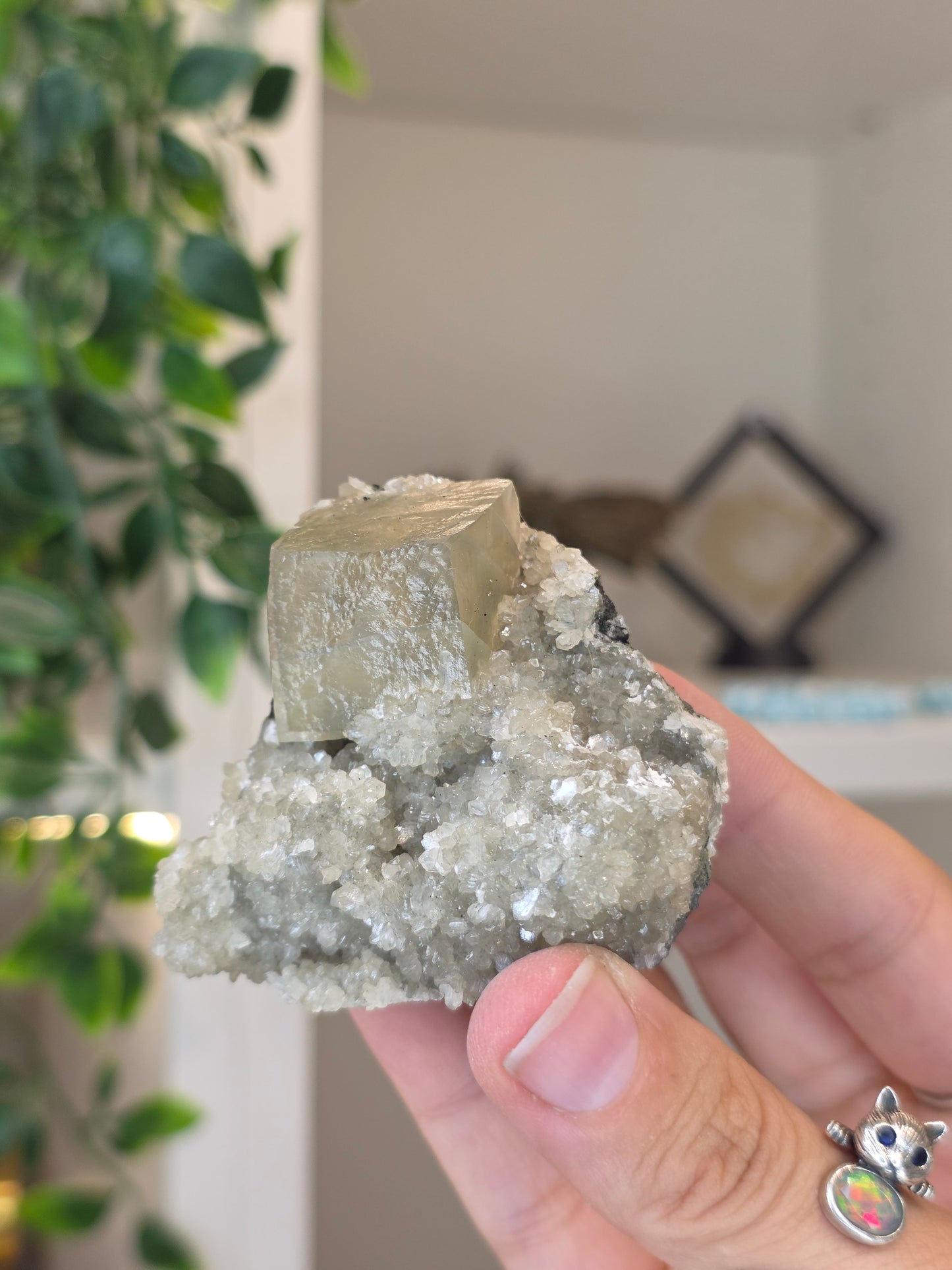 Honey Calcite Cubes on Druzy Sugar Calcite and Stilbite Matrix from Madhya Pradesh, India - K