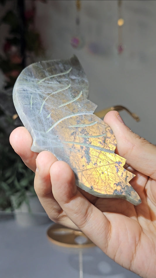 Labradorite Butterfly Wings on Custom Stand - MAS0827