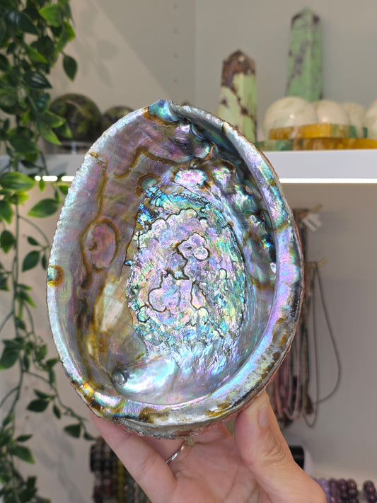 Abalone Shell / Bowl Trinket Dish - E