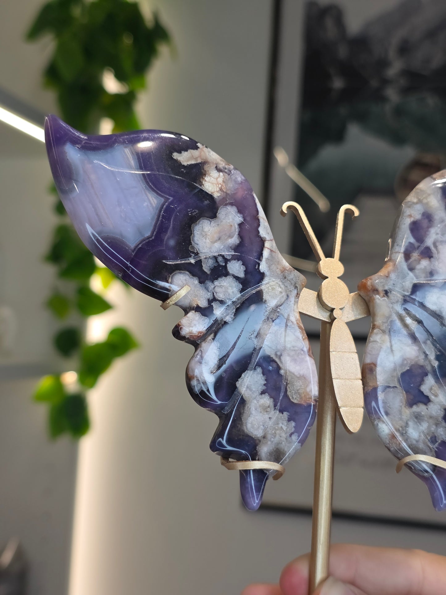 Blue Flower Agate Butterfly Wings on Custom Stand - F
